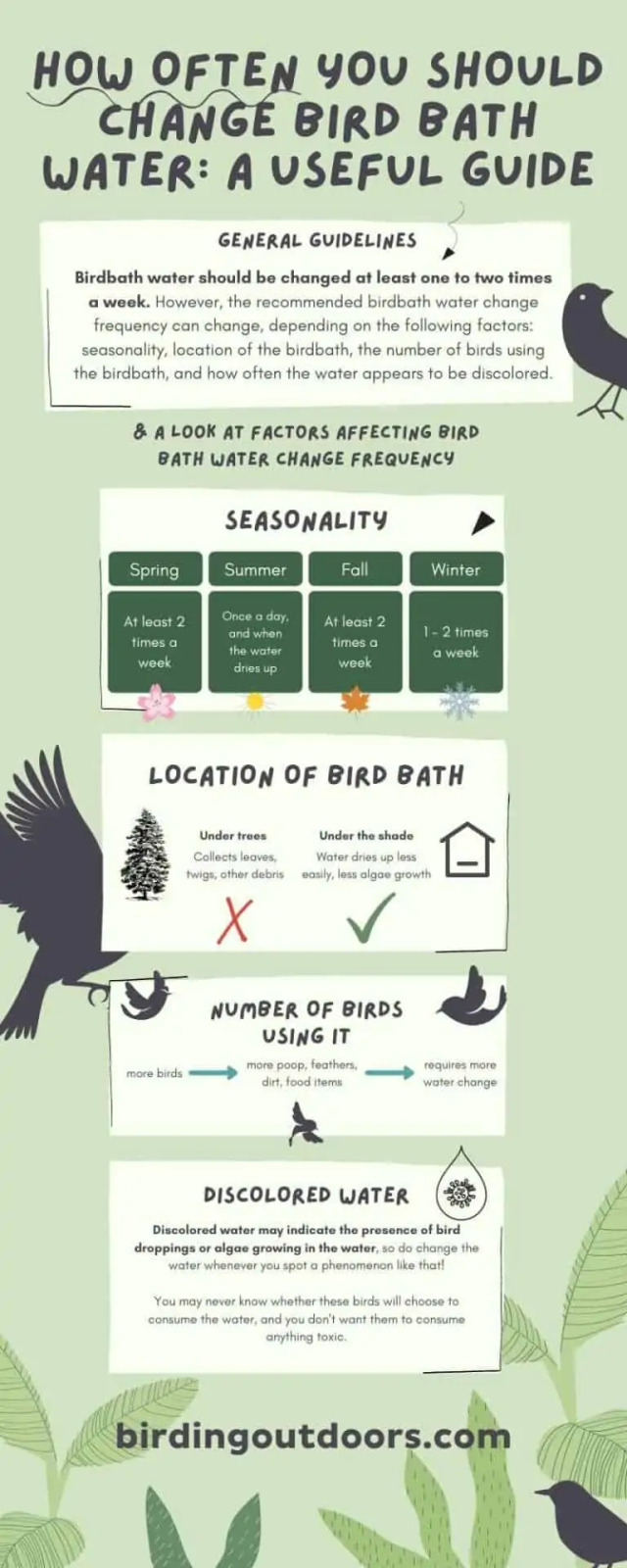 How-Often-You-Should-Change-Bird-Bath-Water-A-useful-guide-768x1920.webp