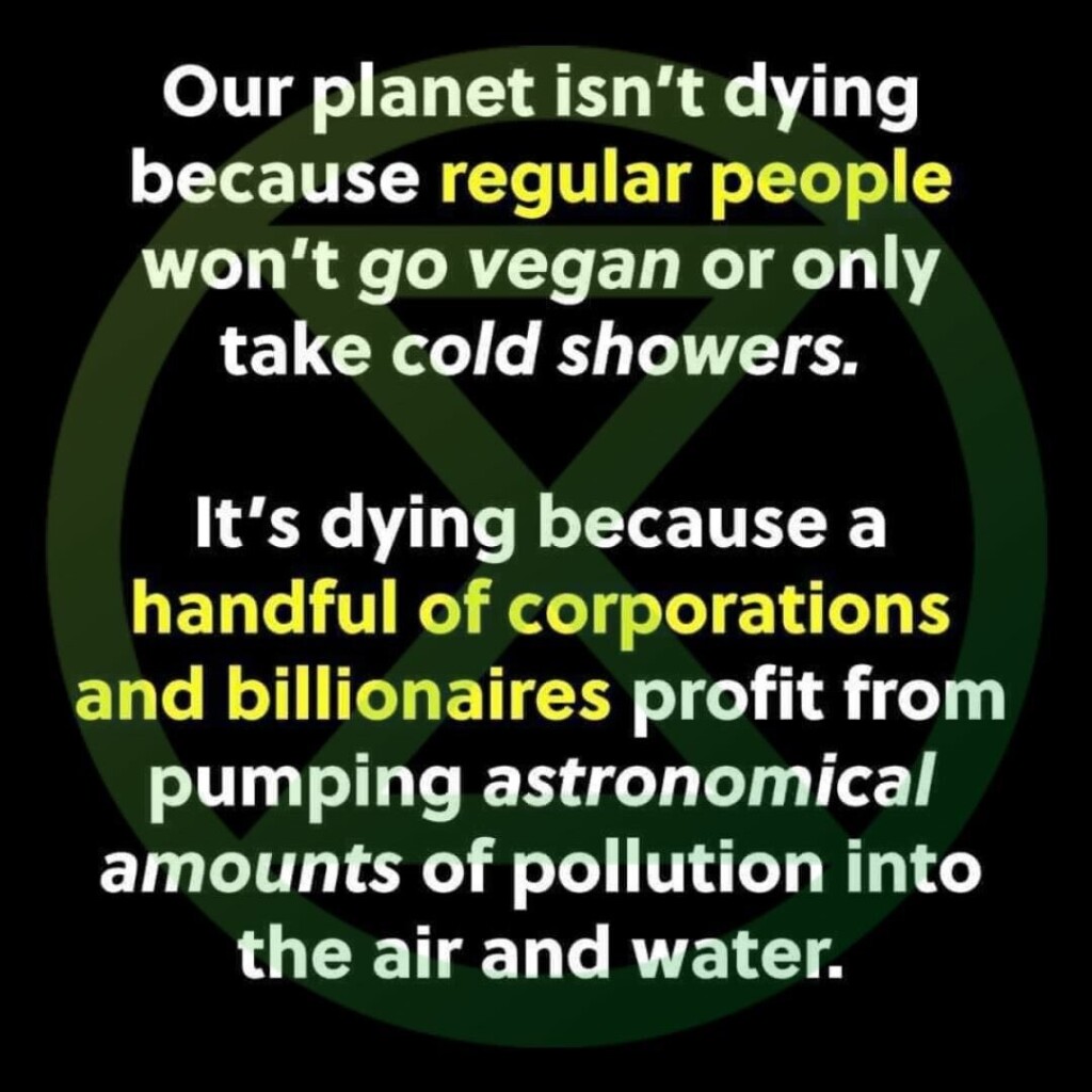 Text posted over Extinction Rebellion logo:

Our planet isn't dying because regular people won’t go vegan or only take cold showers.

It's dying because a handful of corporations and billionaires profit from pumping astronomical amounts of pollution into the air and water. 