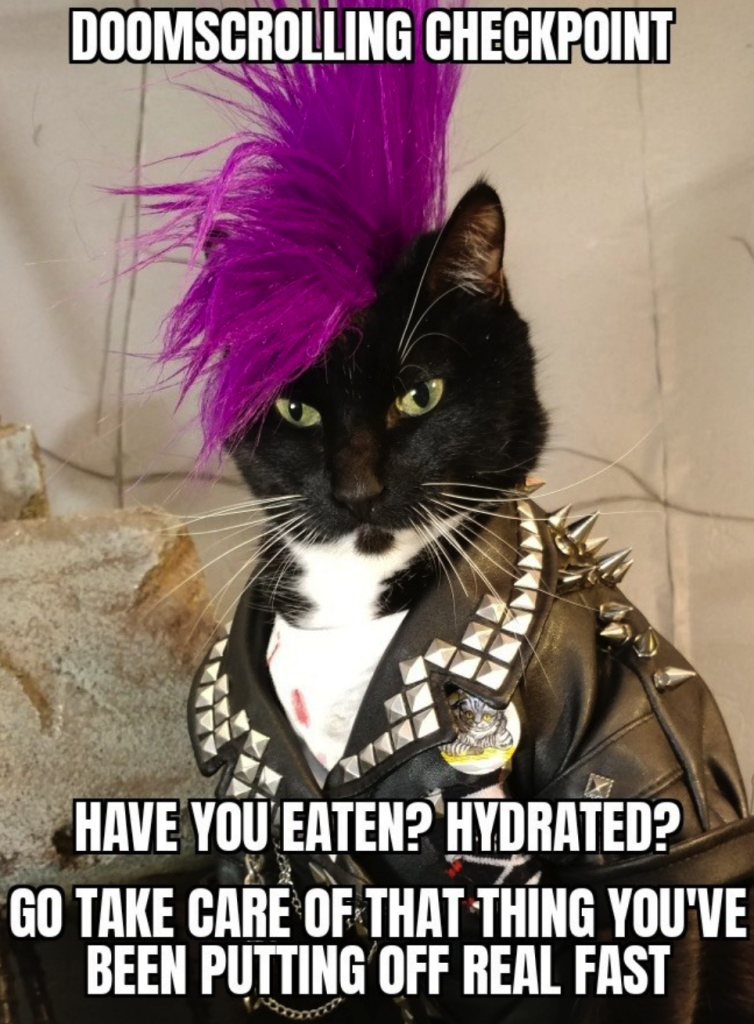 Photo of a tux cat someone has dressed up as a punk rocker. The cat has a purple mohawk and a studded leather jacket. 

The cat looks at you with determination. 

"Doom-scrolling checkpoint. Have you eaten? Hydrated? Go take care of that thing you've been putting off real quick."