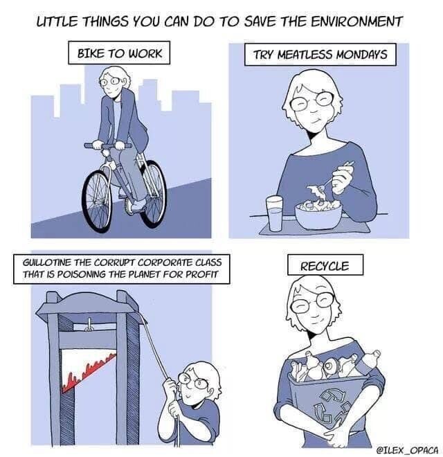 Little things you can do to save the environment: Ride to work, Try meatless Mondays, Guillotine the corrupt corporate class that is poisoning the planet for profit, Recycle. 