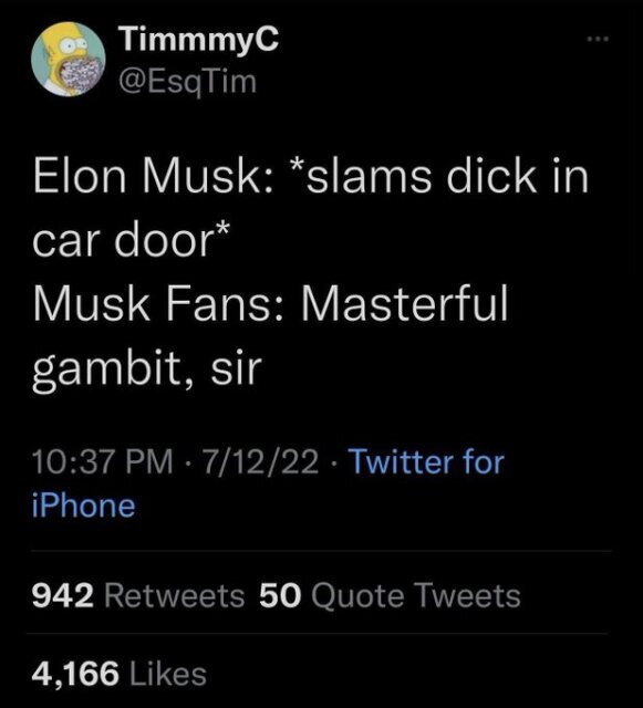 A tweet by user TimmmyC (sic). Elon musk: slams dick in car door. Musk fans: Masterful gambit, sir