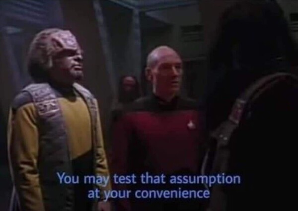 Captain Picard speaking to a Klingon and saying 'you may test that assumption at your convenience'

Which is the classy way to say, fuck around and find out.